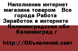 Наполнение интернет магазина товаром - Все города Работа » Заработок в интернете   . Калининградская обл.,Калининград г.
